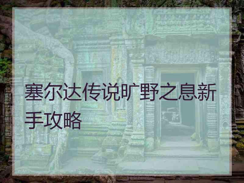 塞尔达传说旷野之息新手攻略