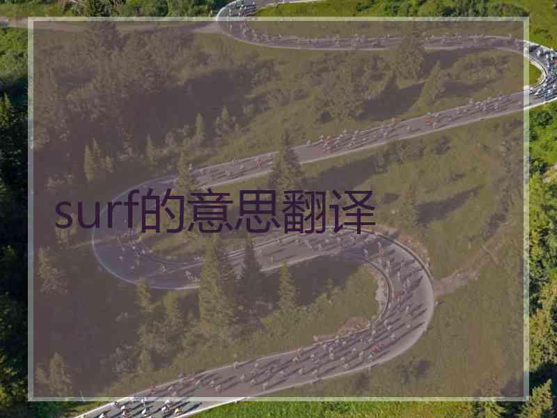 surf的意思翻译