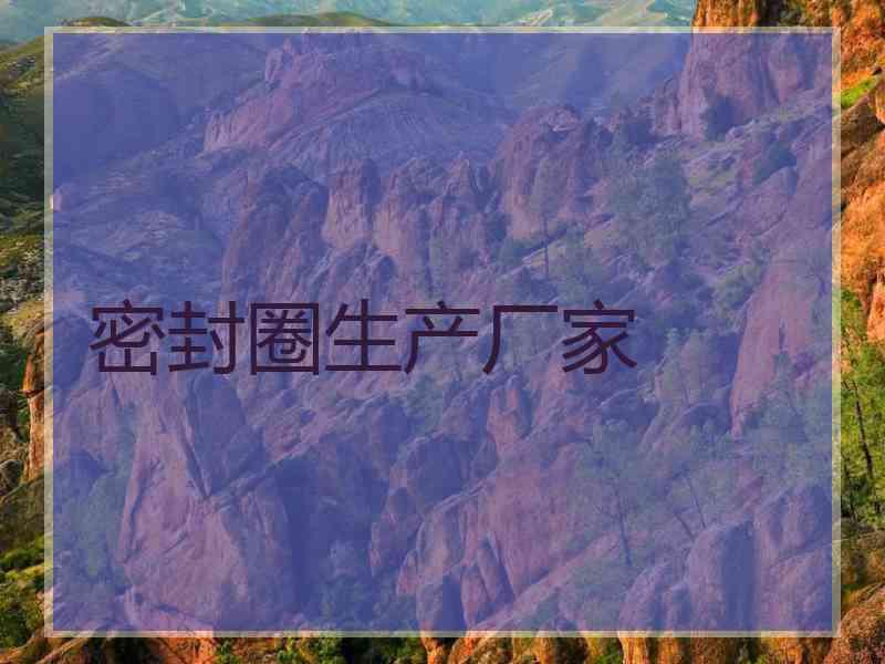 密封圈生产厂家