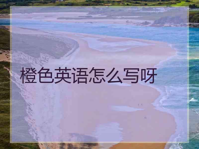 橙色英语怎么写呀