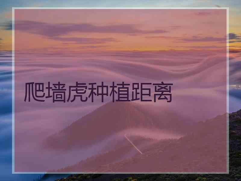 爬墙虎种植距离