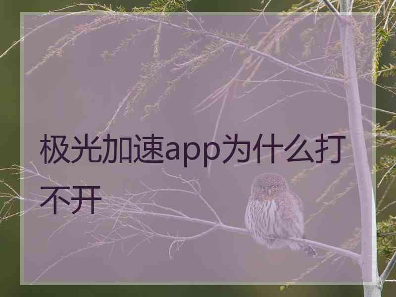 极光加速app为什么打不开