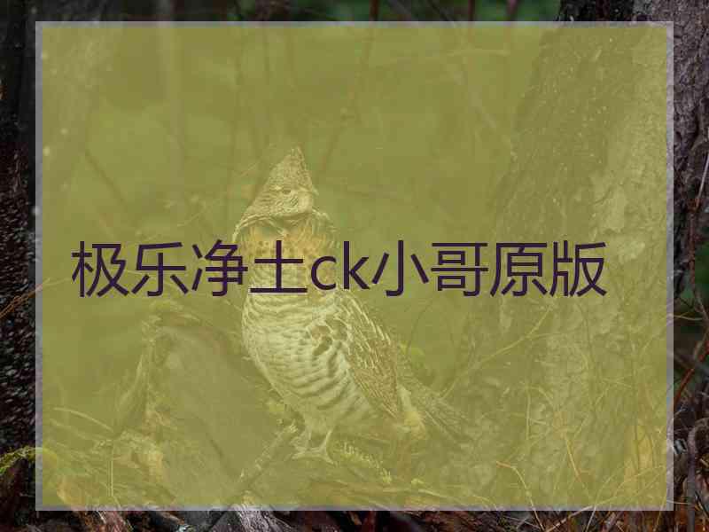 极乐净土ck小哥原版