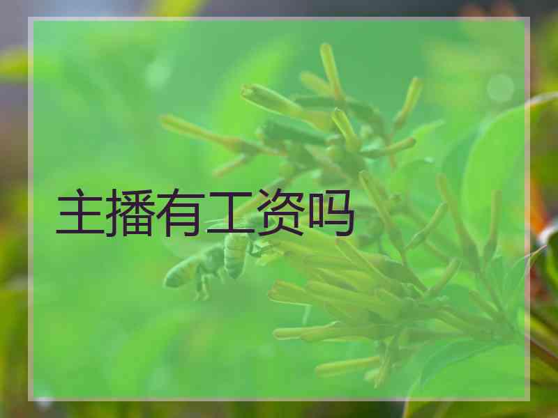 主播有工资吗