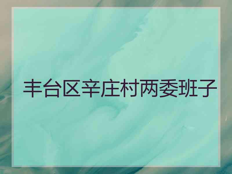 丰台区辛庄村两委班子