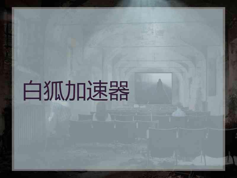 白狐加速器