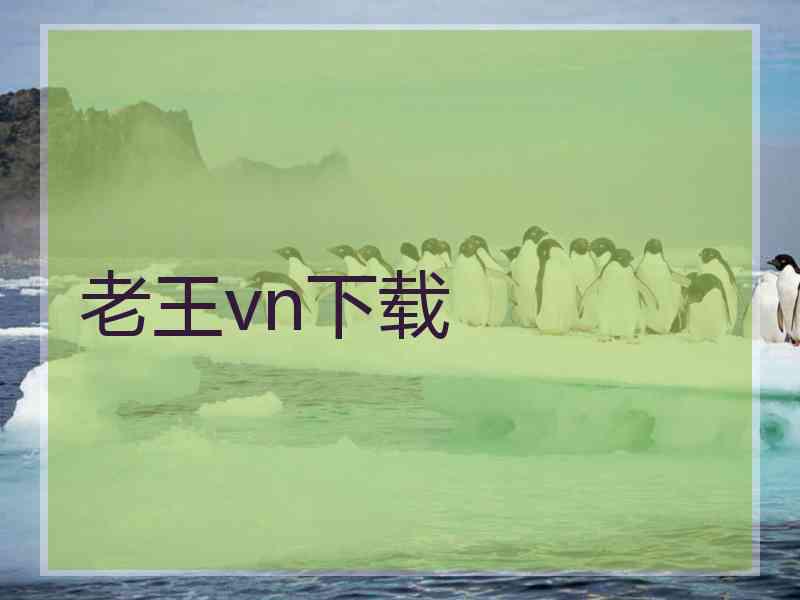 老王vn下载