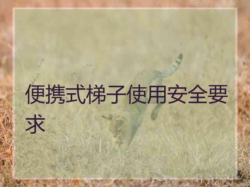 便携式梯子使用安全要求