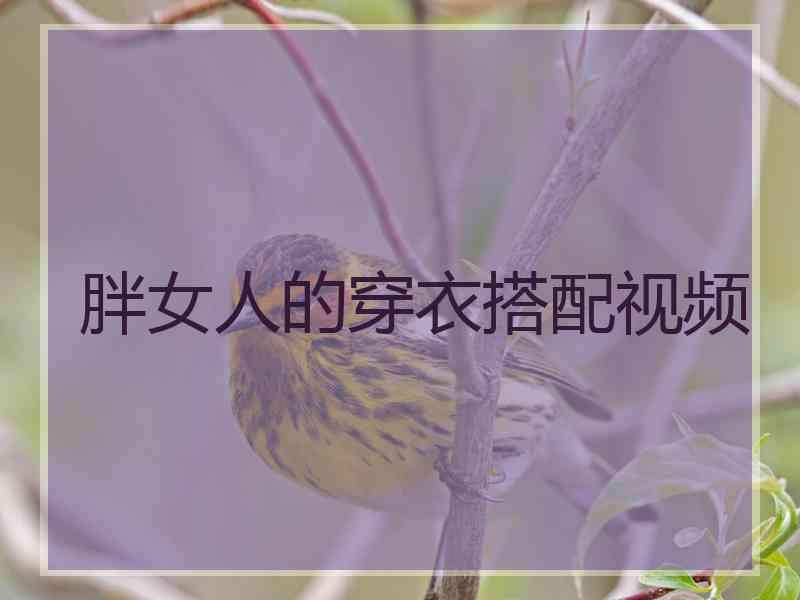 胖女人的穿衣搭配视频