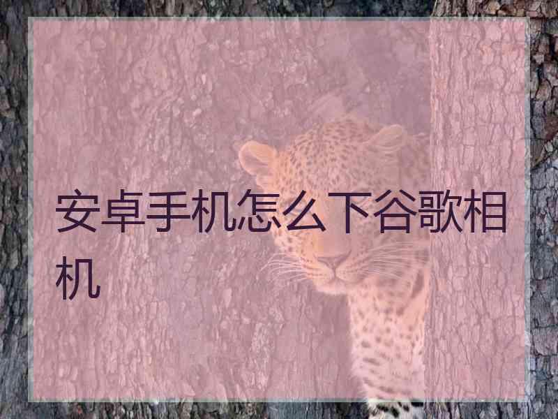 安卓手机怎么下谷歌相机
