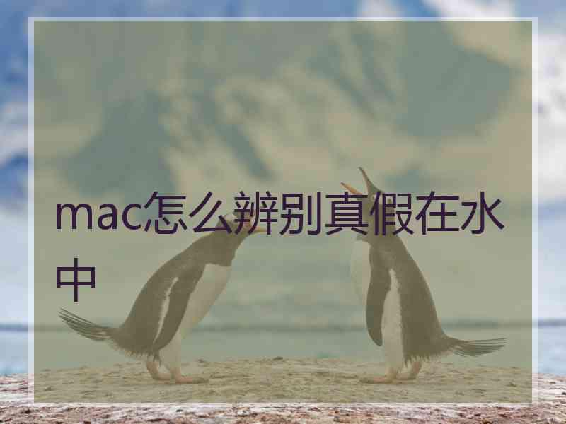 mac怎么辨别真假在水中