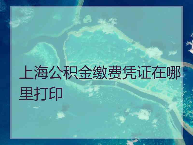 上海公积金缴费凭证在哪里打印