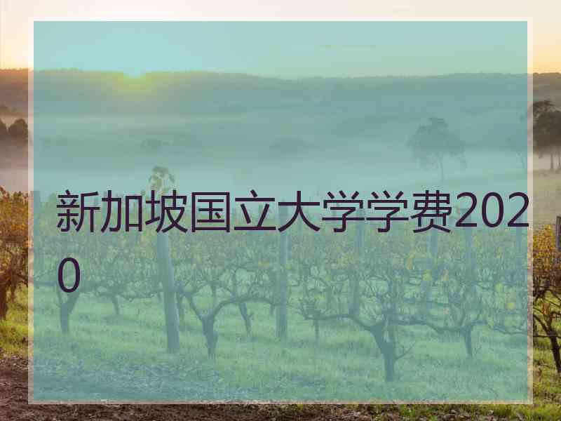 新加坡国立大学学费2020