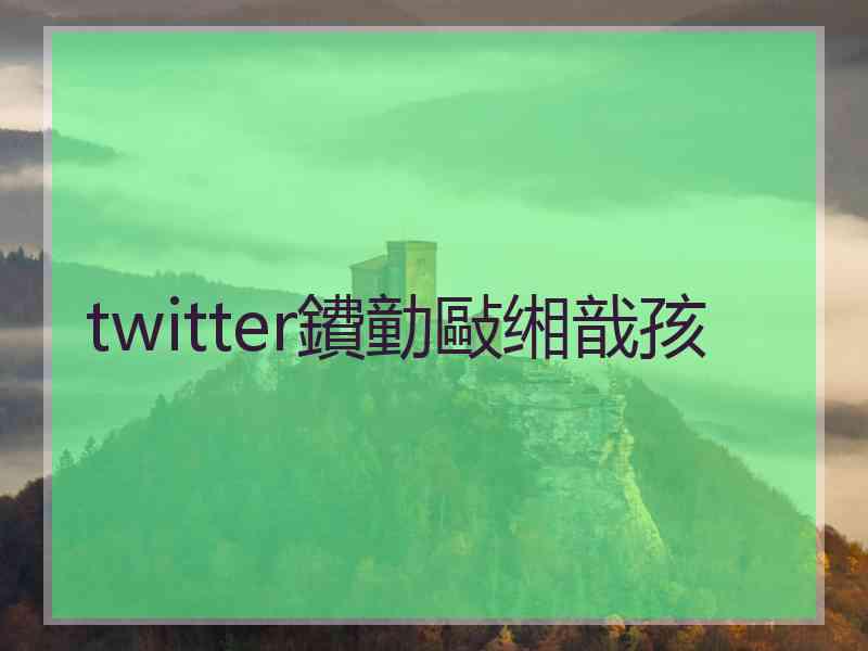 twitter鐨勭敺缃戠孩