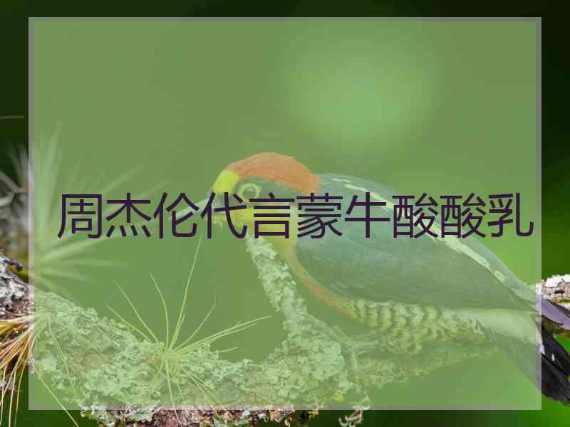 周杰伦代言蒙牛酸酸乳