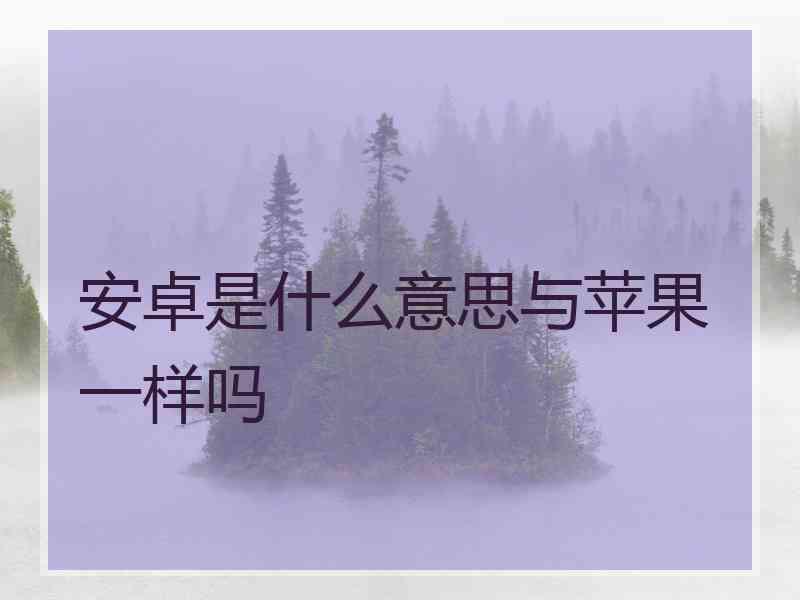 安卓是什么意思与苹果一样吗