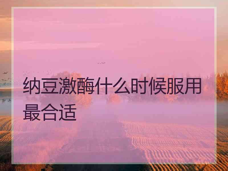 纳豆激酶什么时候服用最合适