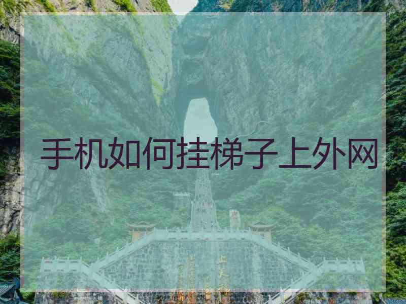 手机如何挂梯子上外网