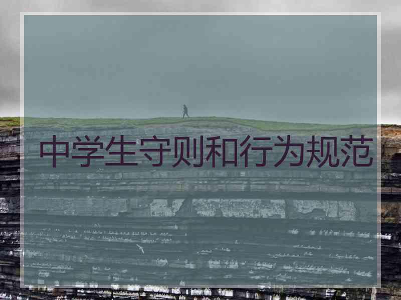 中学生守则和行为规范