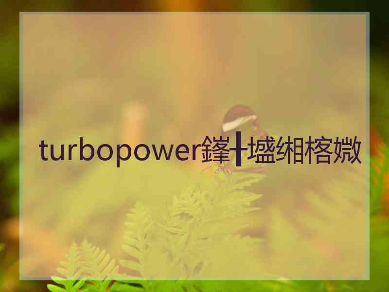 turbopower鎽╂墭缃楁媺