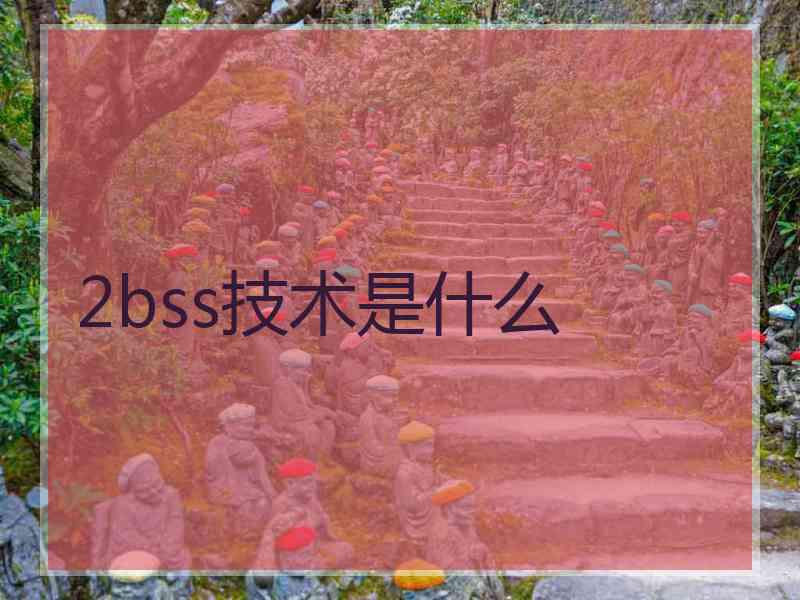 2bss技术是什么