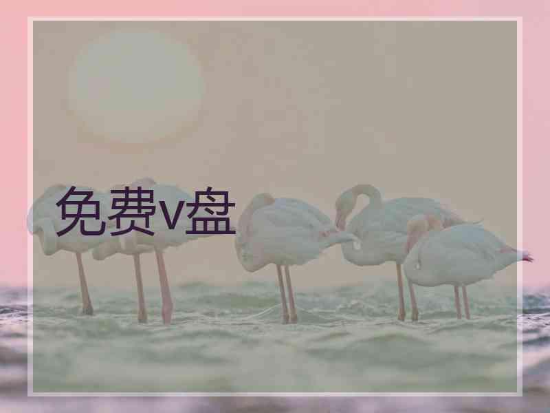 免费v盘