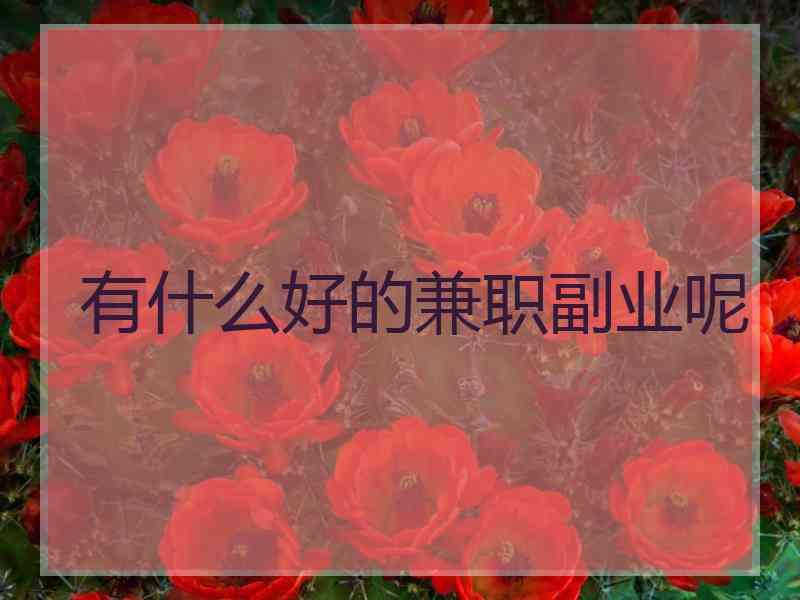 有什么好的兼职副业呢