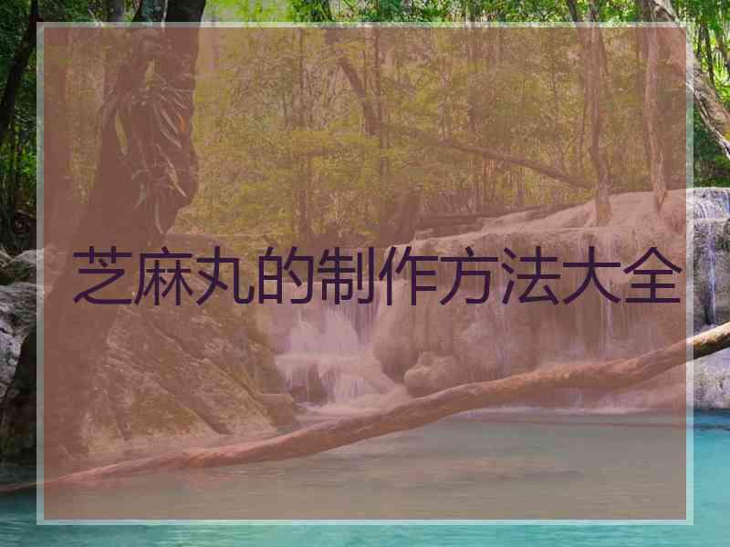 芝麻丸的制作方法大全
