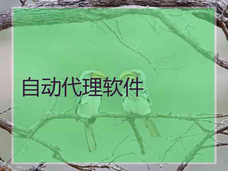 自动代理软件