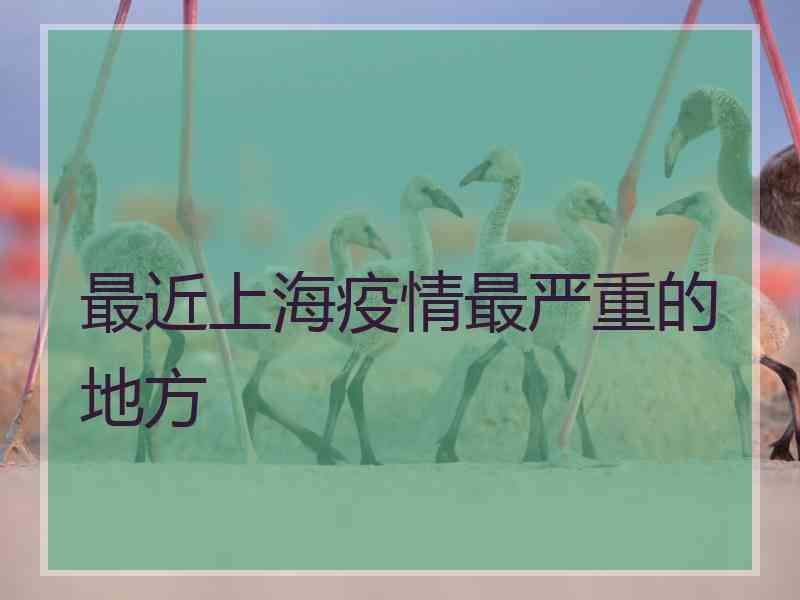 最近上海疫情最严重的地方