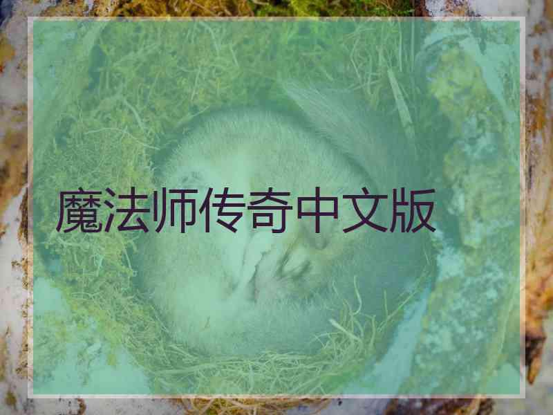 魔法师传奇中文版