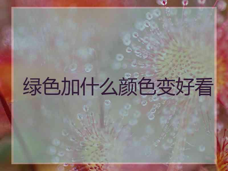 绿色加什么颜色变好看