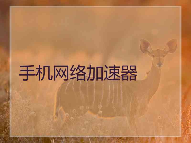 手机网络加速器