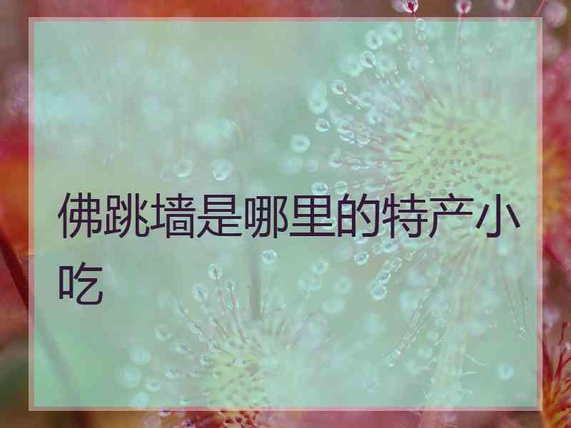 佛跳墙是哪里的特产小吃
