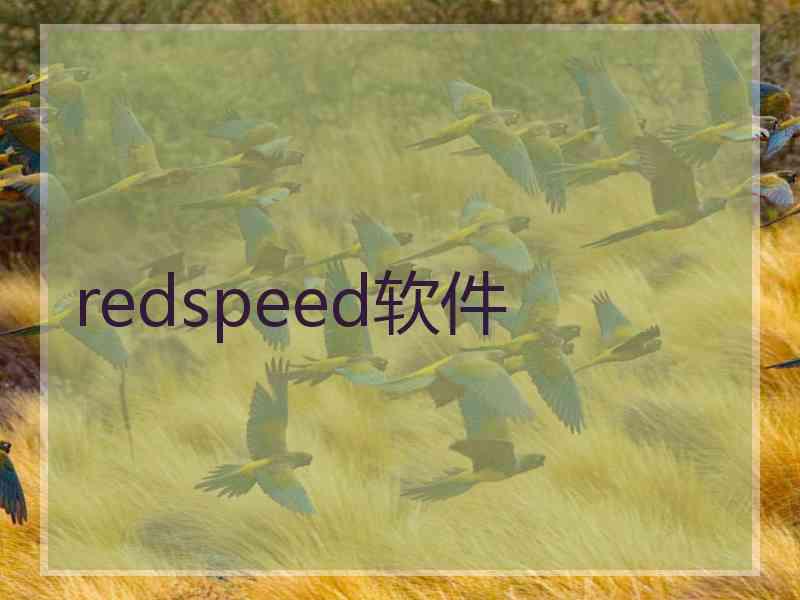 redspeed软件