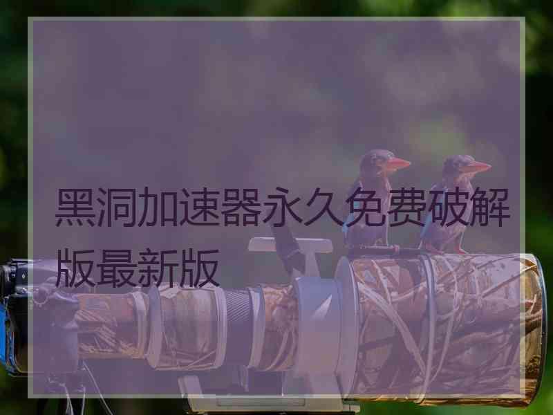 黑洞加速器永久免费破解版最新版