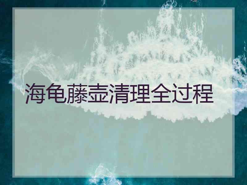 海龟藤壶清理全过程