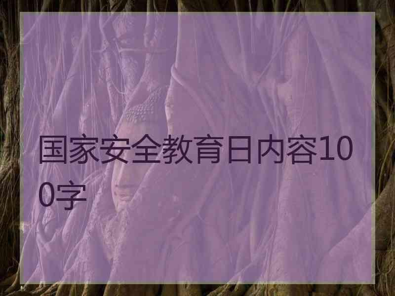 国家安全教育日内容100字