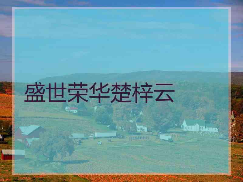 盛世荣华楚梓云