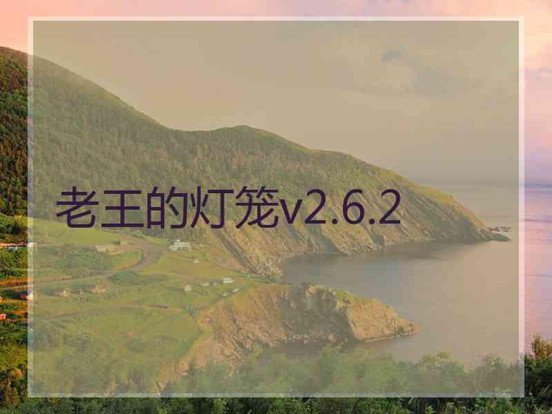老王的灯笼v2.6.2