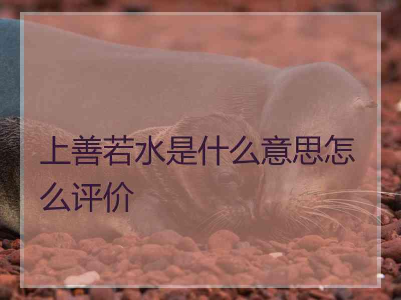 上善若水是什么意思怎么评价