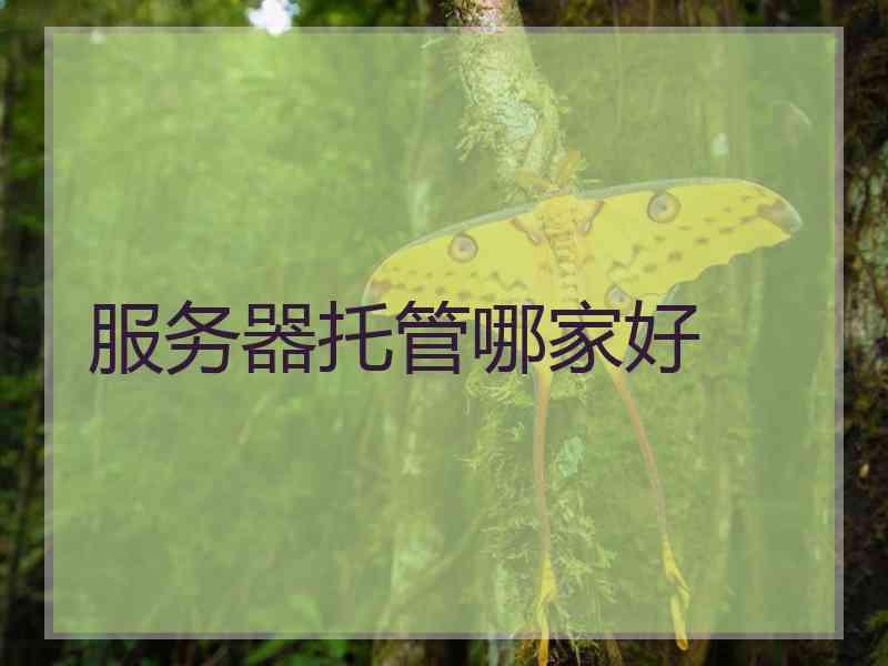 服务器托管哪家好