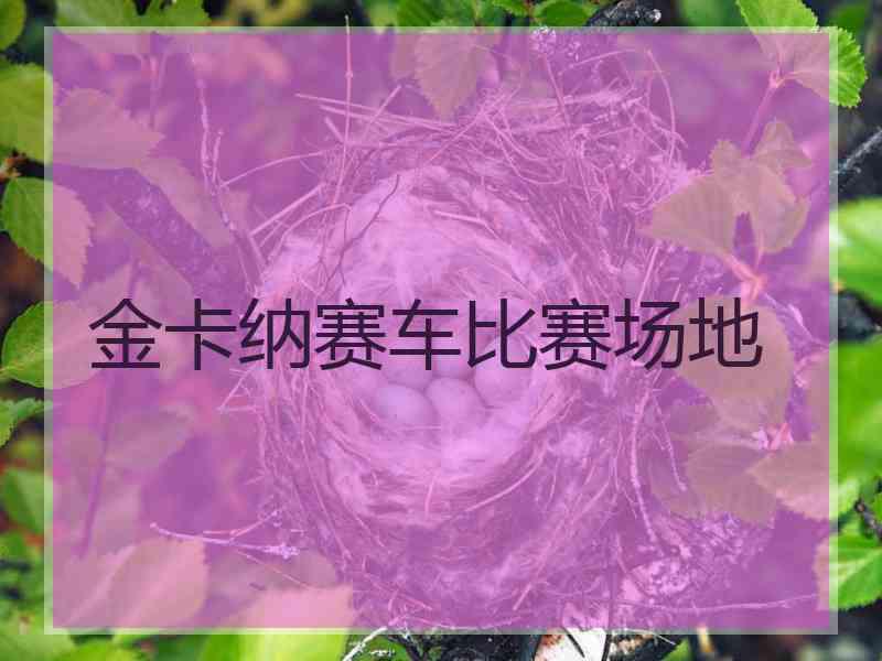 金卡纳赛车比赛场地