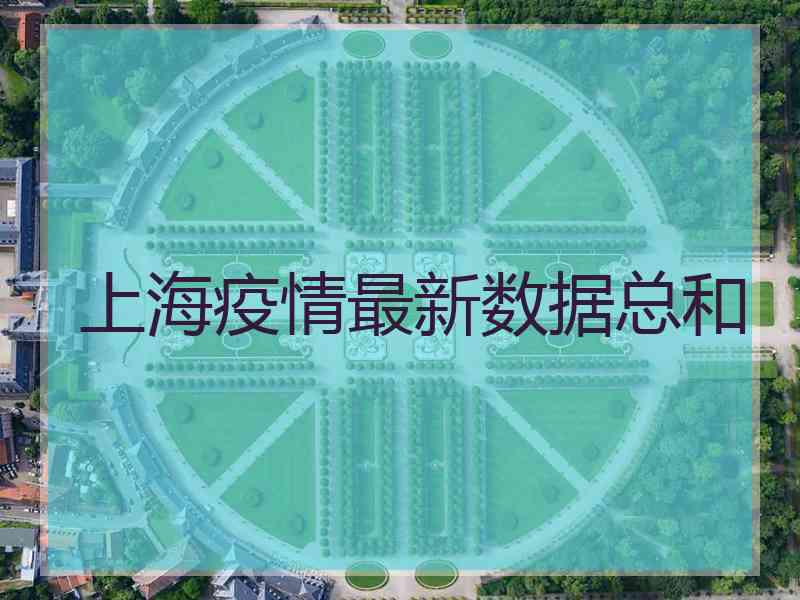 上海疫情最新数据总和