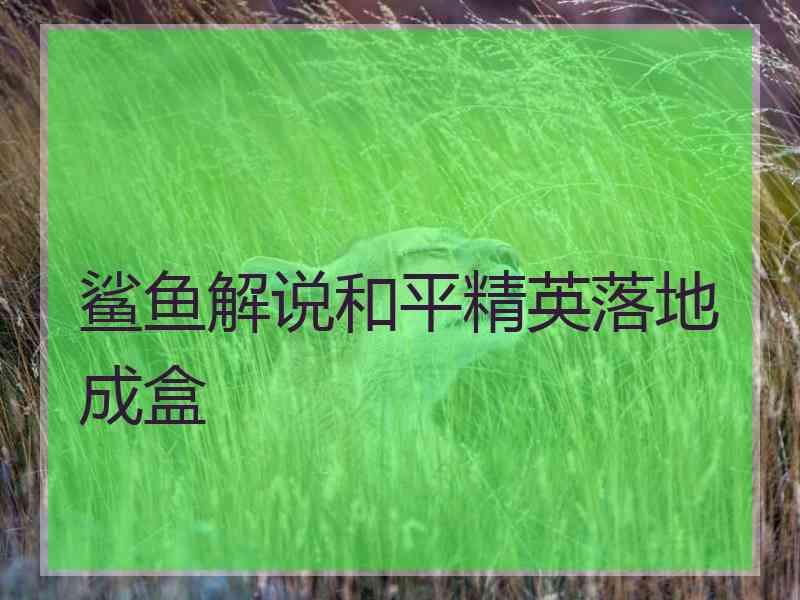 鲨鱼解说和平精英落地成盒