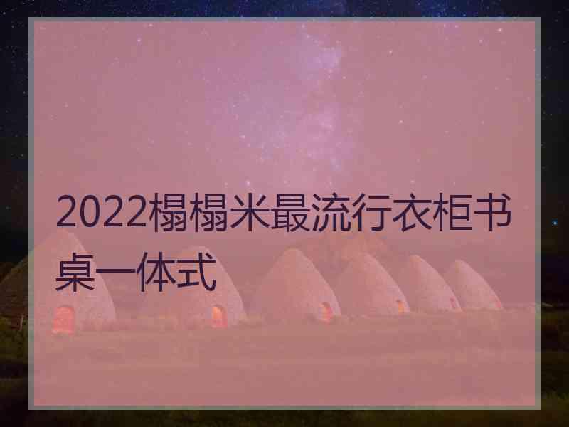 2022榻榻米最流行衣柜书桌一体式