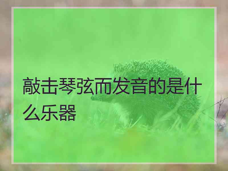 敲击琴弦而发音的是什么乐器
