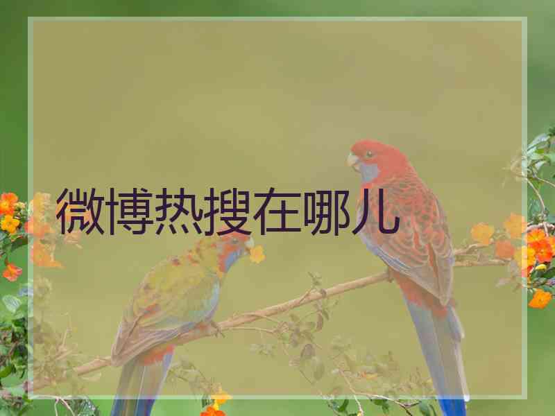 微博热搜在哪儿