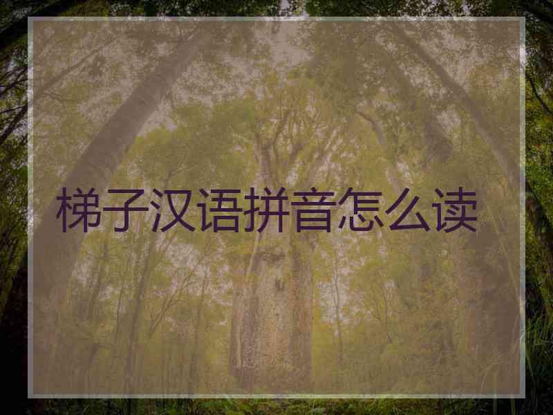 梯子汉语拼音怎么读