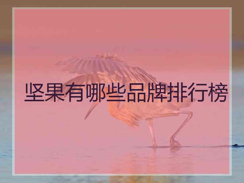 坚果有哪些品牌排行榜